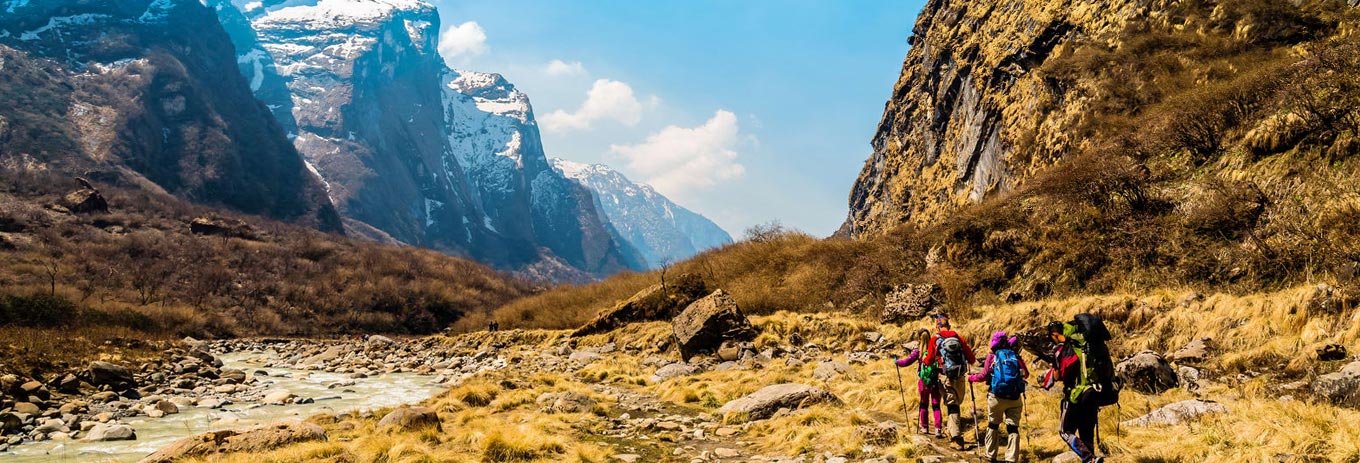 Shimla Delight Tour Packages